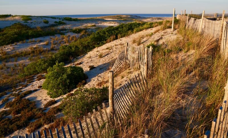 Record Year for State Park Visits in Delaware